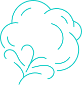 GOTS certified organic cotton