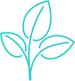 GOLS certified organic latex